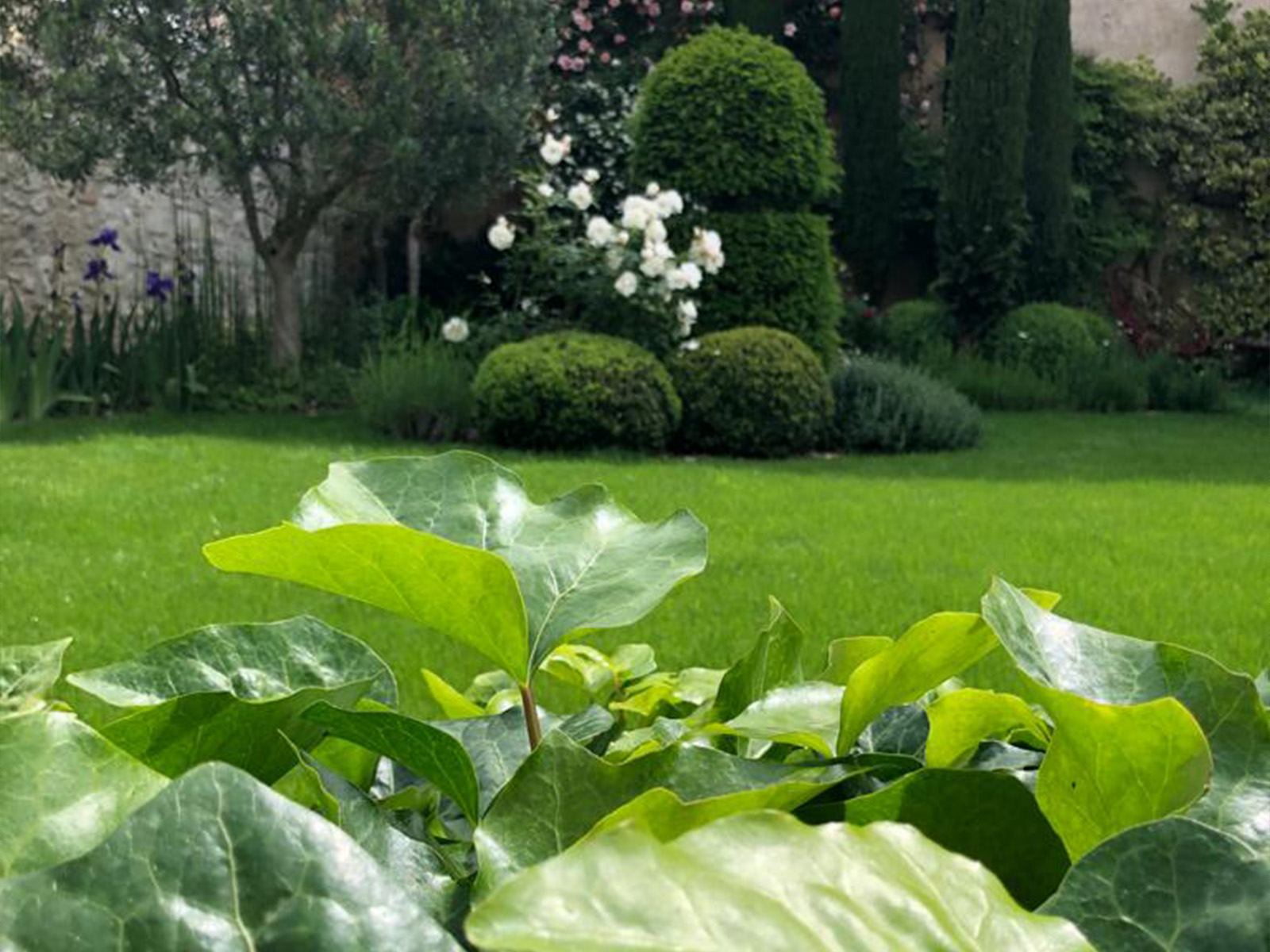 Jardin
