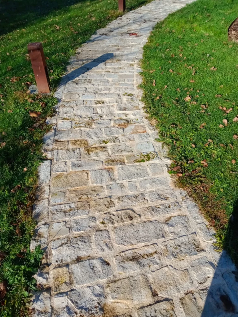 allee-chemin-pave-pavage allee-chemin-pave-pavage