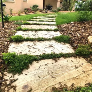 allee-dalle-pierre-joint-vegetalise