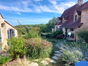allee-pierre- naturelle-vegetation-luxuriante