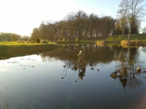 bassin-bourginel
