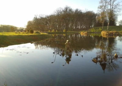 bassin-bourginel