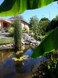 bassin-cascade-galet