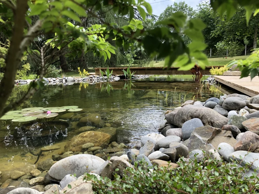 bassin-galet-nenuphar bassin-galet-nenuphar