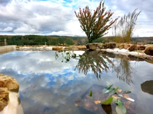 bassin-maconne-ancien-renovation