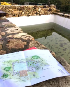 bassin-maconne-ancien-renovation-plan