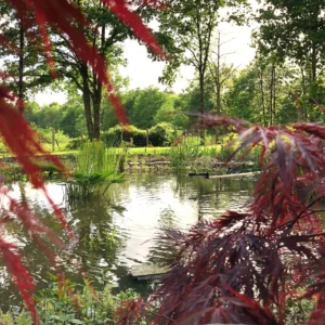 bassin-naturel-erable