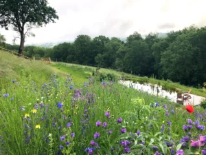 bassin-naturel-integre-sauvage