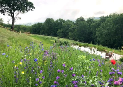 bassin-naturel-integre-sauvage