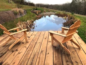 bassin-naturel-ponton-repos