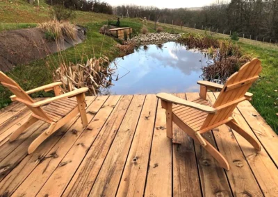 bassin-naturel-ponton-repos