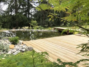 bassin-platelage-bois
