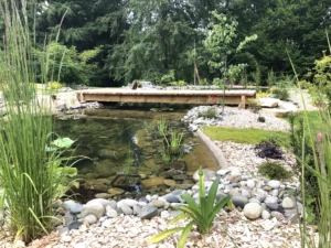 bassin-pont-bois