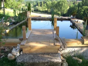 bassin-ponton-bois