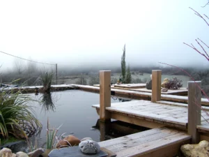 bassin-ponton-bois-hiver