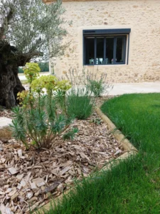 bordure-bois-rondin-pin-traite-fraise