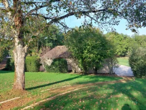bordure-pave-allee-pelouse