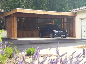 carport-bois-toit-vegetalise