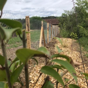 cloture-côté-jardin