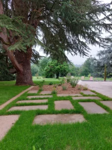 dalles-gazon-joint-herbe
