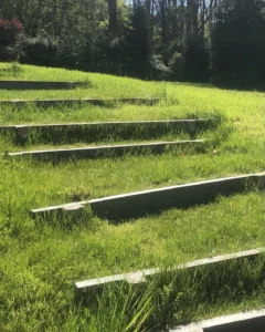 escalier-marches- traverse-bois-engazonnee