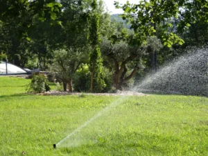 gazon-pelouse-irrigation-automatique