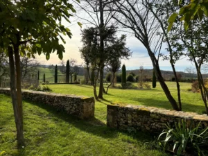 gazon-semis-plantations-parc