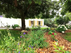 massif-mixed-border-vivaces-arbustes