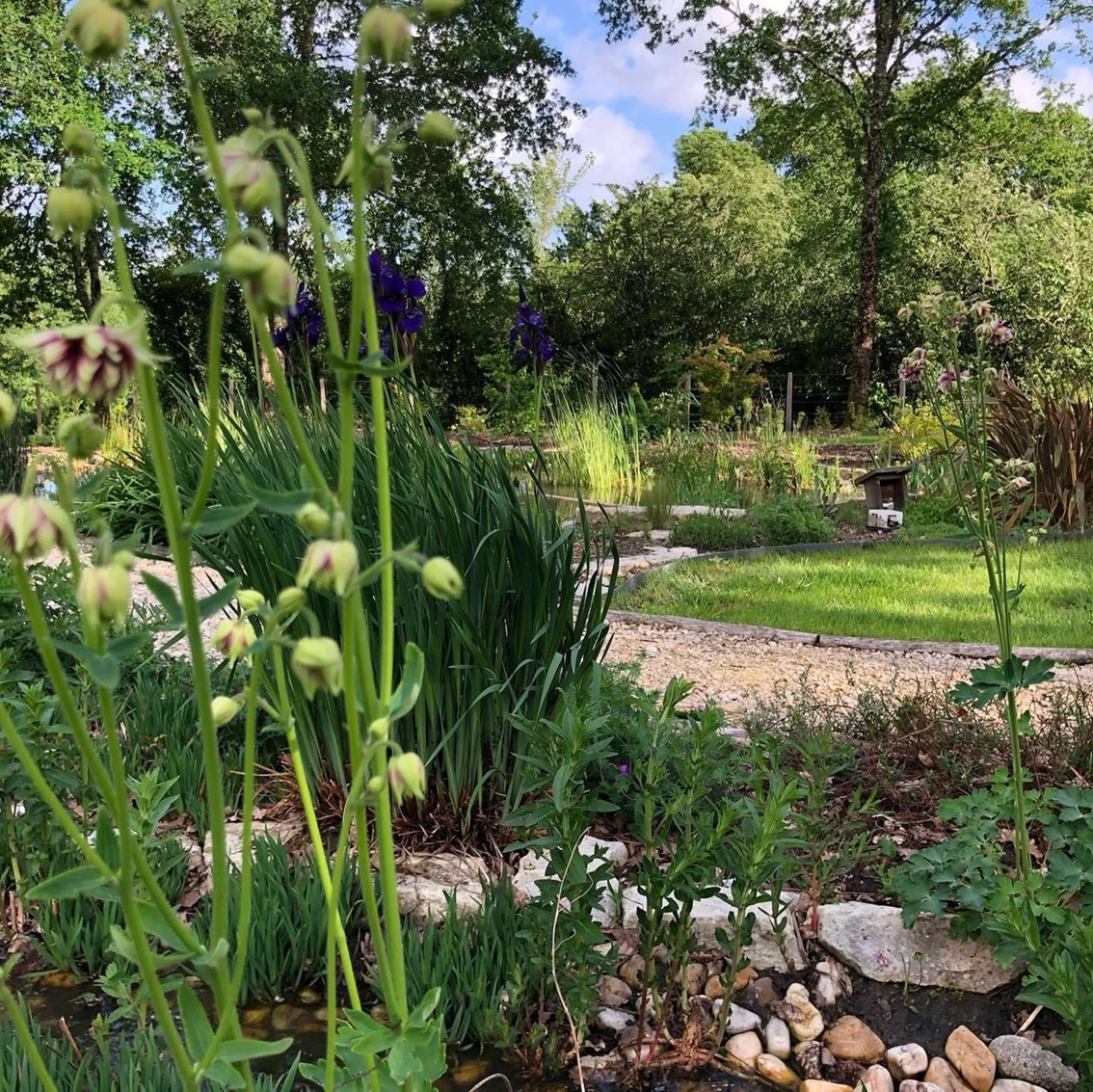 massif-plantation-bordure-mixte