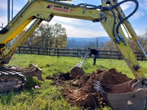 plantation-arbre-motte