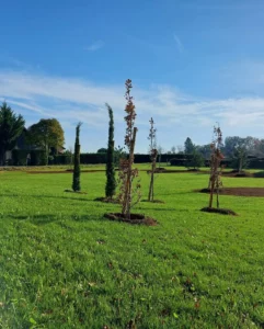 plantation-arbres-parc-paysage