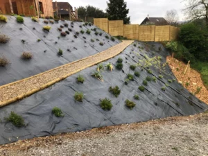 plantation-talus-toile-tissee