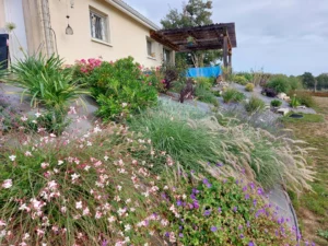 plantation-talus-vivaces-toile-tissee