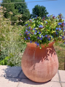 poterie-piscine-ravel