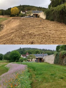 semis-gazon-prairie-fleurie