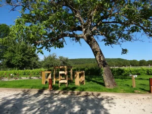 terrain-pétanque
