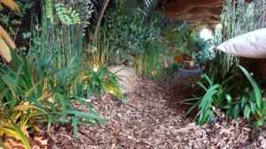 foire-salon-jardin-ephemere-cote-jardin-dordogne